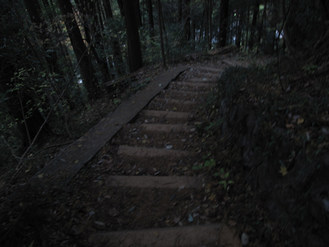 20171116hike (415)